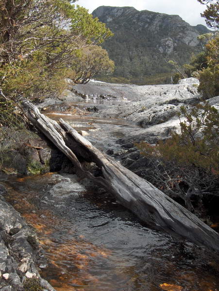 @ Craddle Mountain Tassie