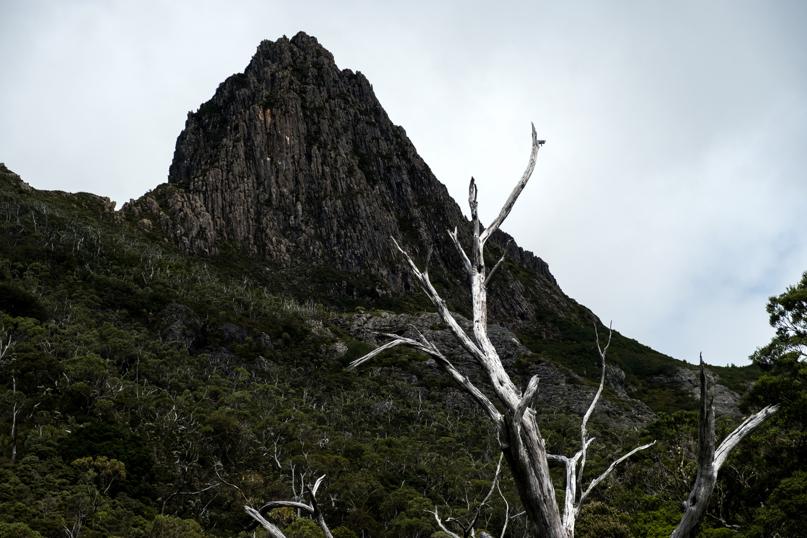 cradle mountain 4