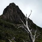 cradle mountain 4