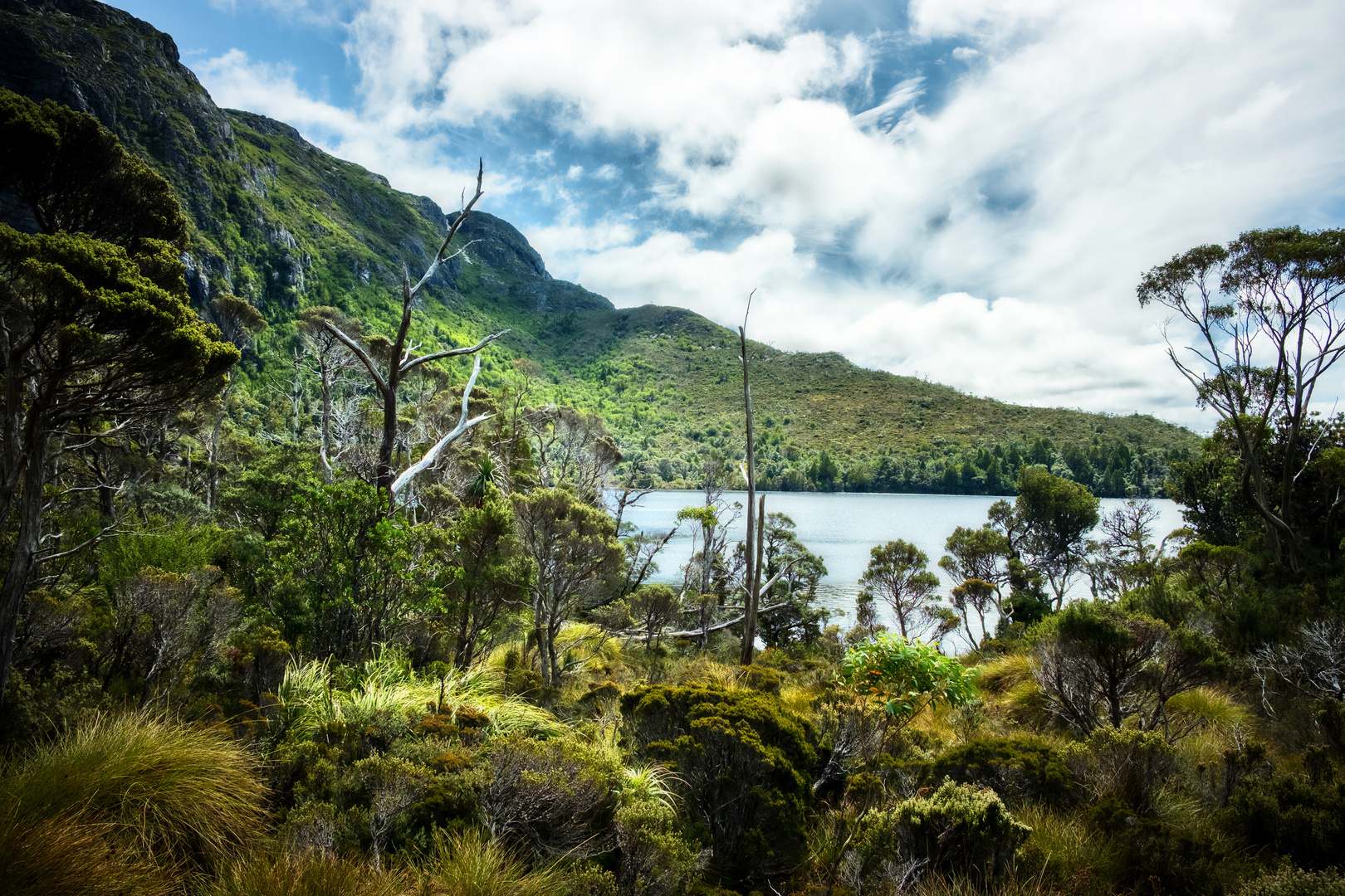 cradle mountain lake (1)