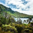 cradle mountain lake (1)