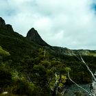 cradle mountain lake3