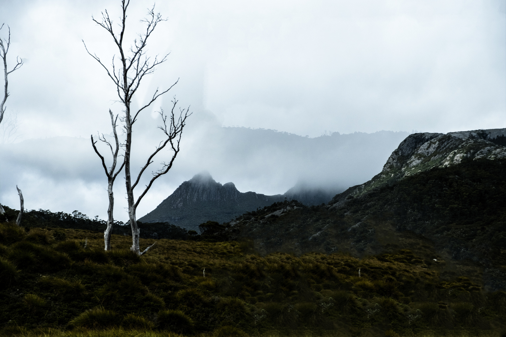 cradle mountain NP