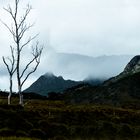 cradle mountain NP