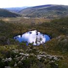 Cradle Mountain NP