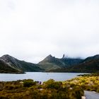 Cradle Mountain NP2