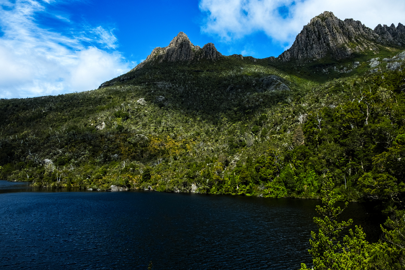 Cradle Mountain NP4