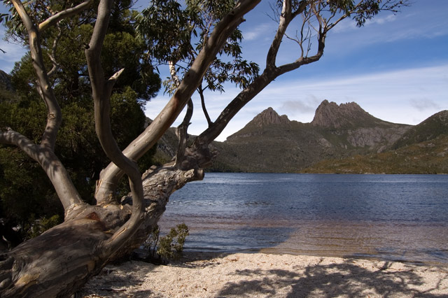 Cradle Mountain ueber dem Dove Lake