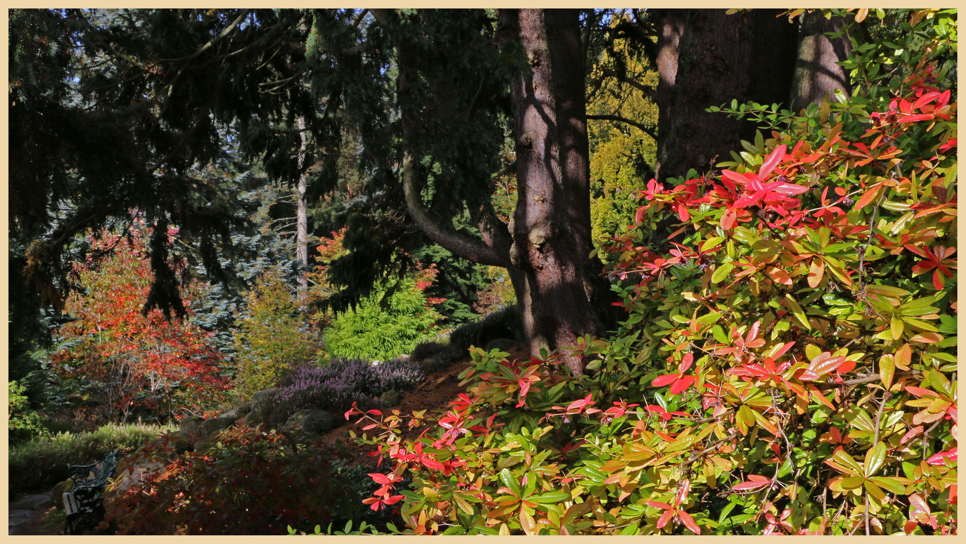 cragside 10