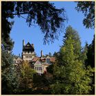 cragside 12