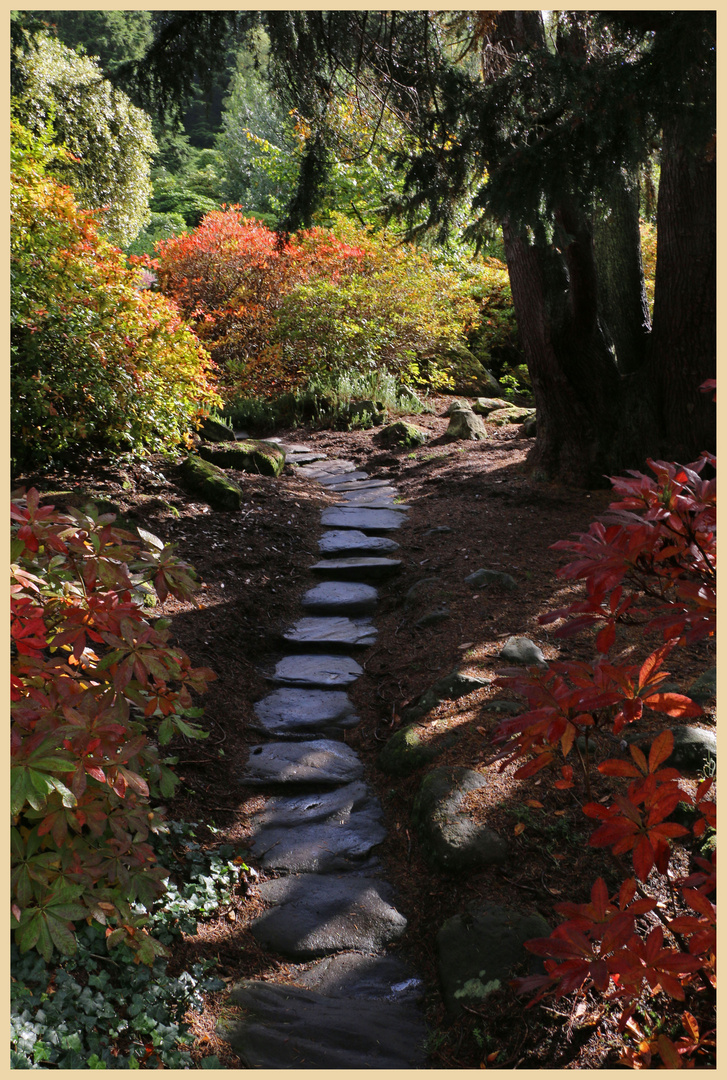 cragside 13