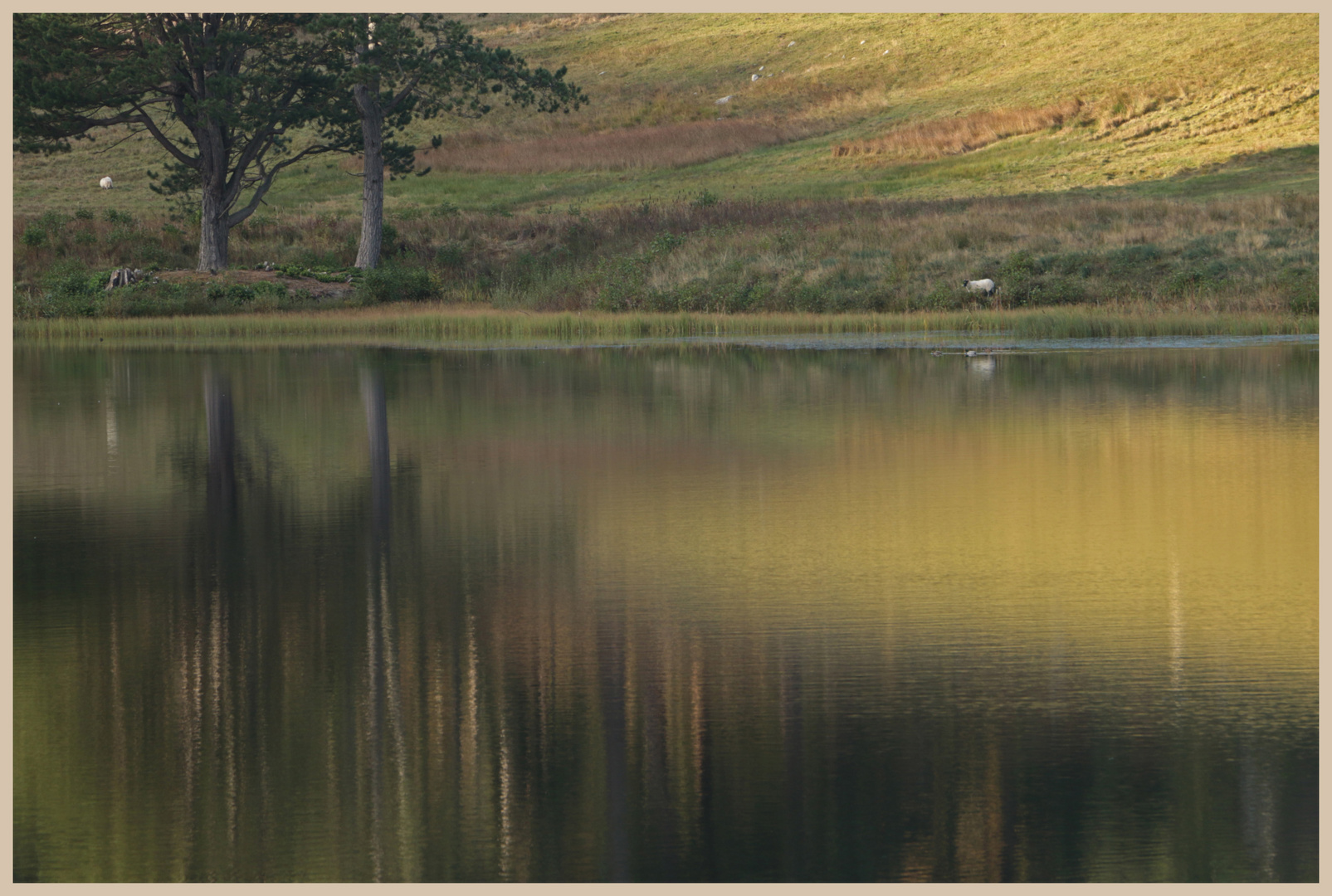 cragside 24