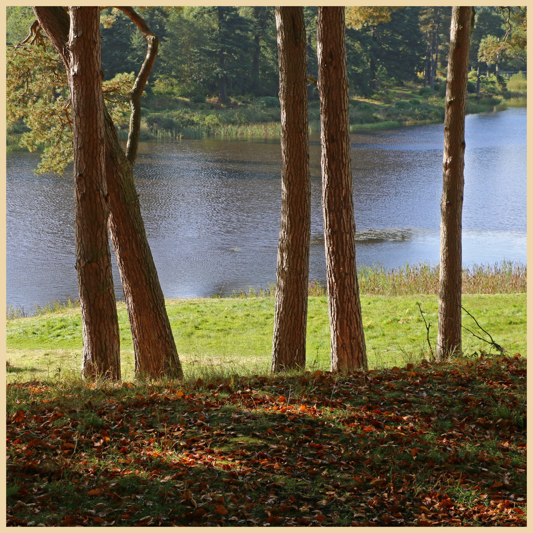 cragside the main lake 8