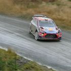 Craig Breen - never give up!