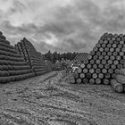 Craigellachie Cooperage