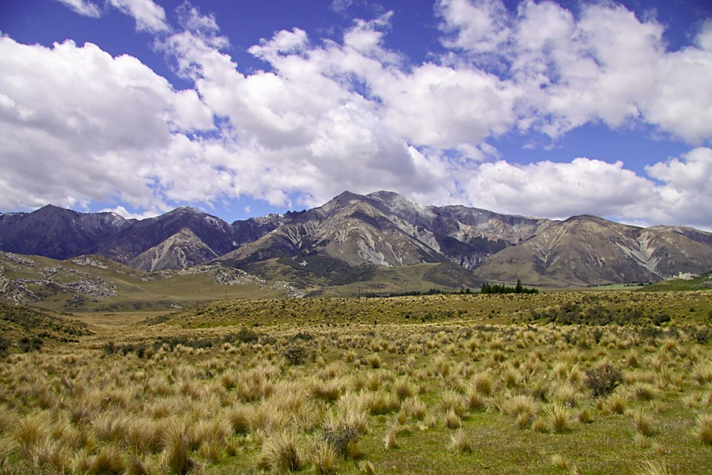 Craigieburn Range - Arthur Pass NP