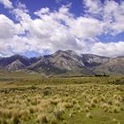 Craigieburn Range - Arthur Pass NP