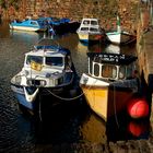 Crail Harbour