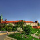 Crakau-Polen-Wawel