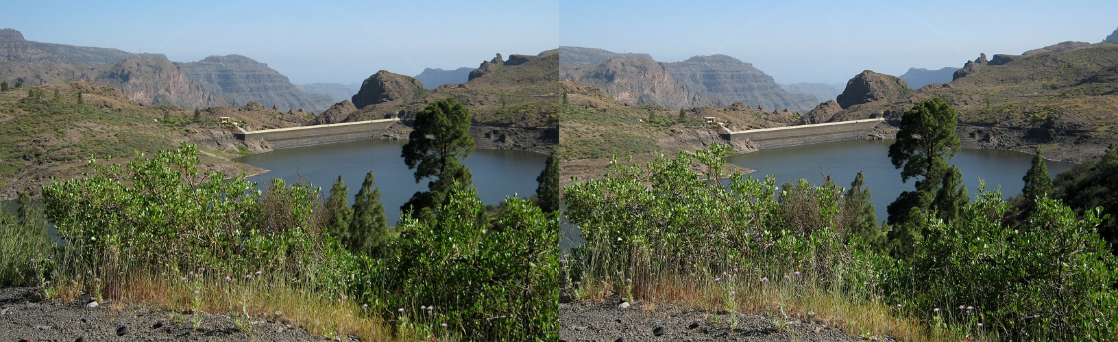 _ CRAN CANARIA _ STAUSEE VOM RICO GRANDE _