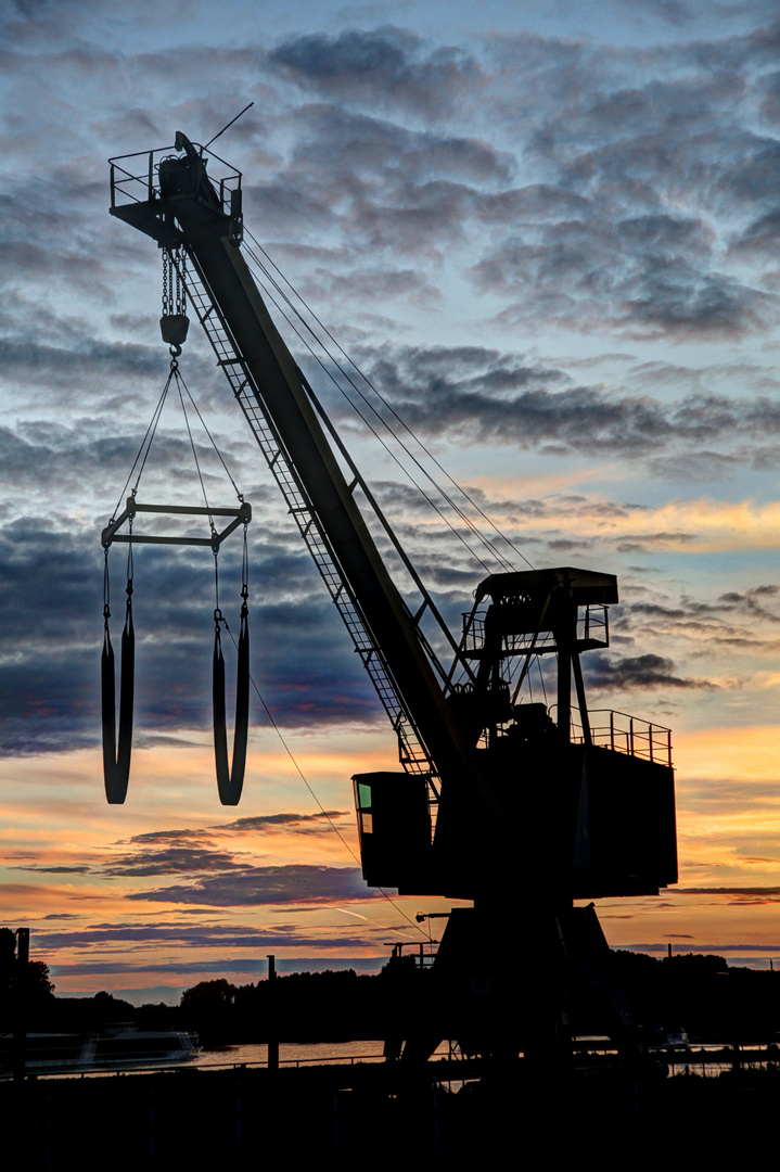 Crane at dawn