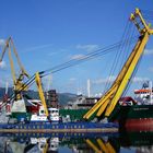 Crane at one of the Bilbao's shipyards; Northern Spain.