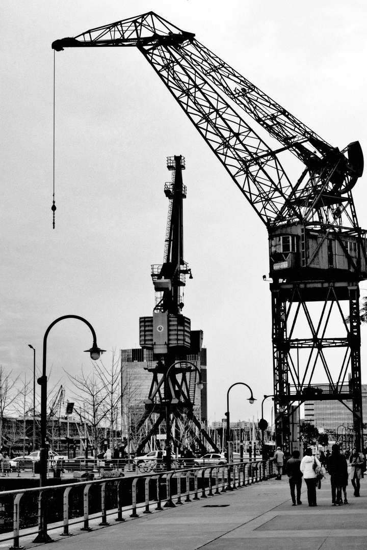 Crane Greifswalde