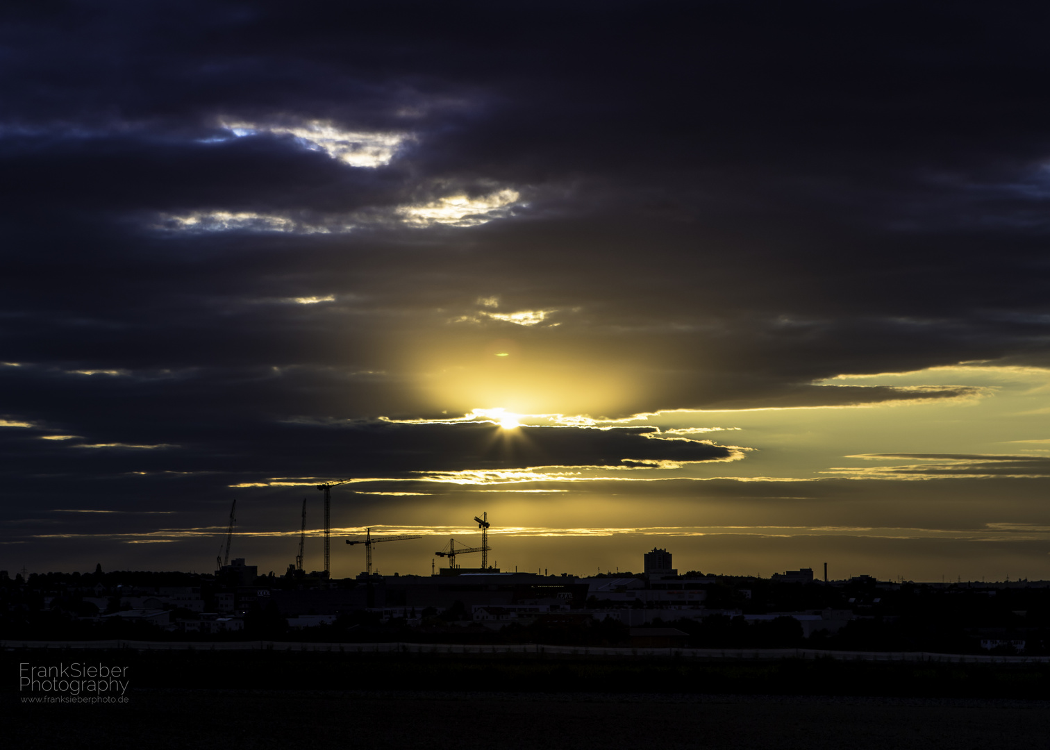 Cranes at sunset