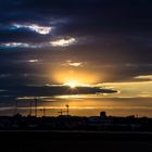 Cranes at sunset