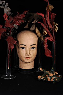 Crapa Pelada avventuratasi nel bosco fa brutti incontri