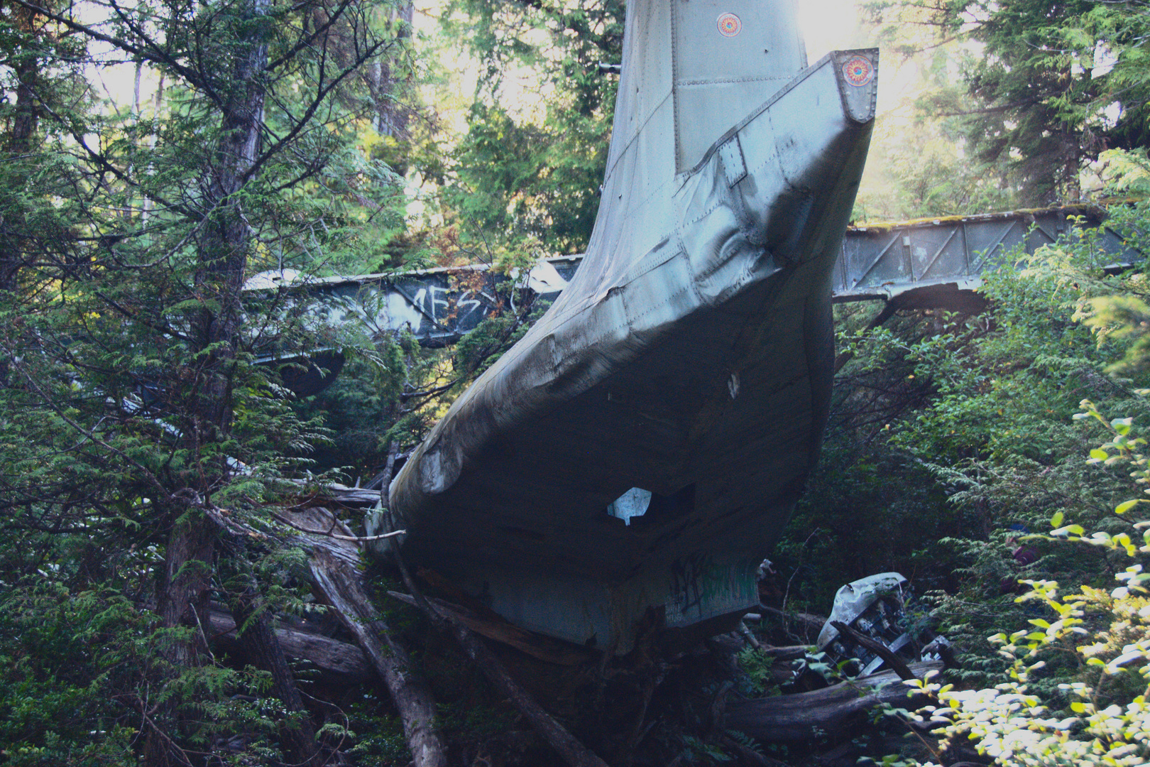 Crashed Plane