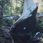 Crashed Plane