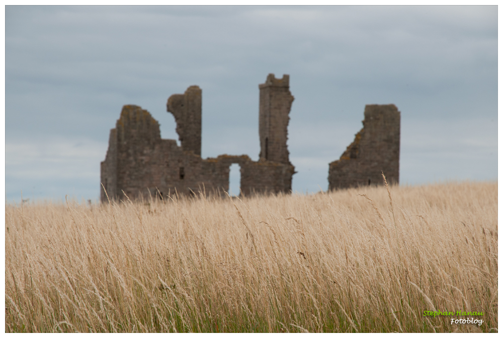 Craster - Dunstanburgh Castle (2)