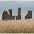 Craster - Dunstanburgh Castle (2)