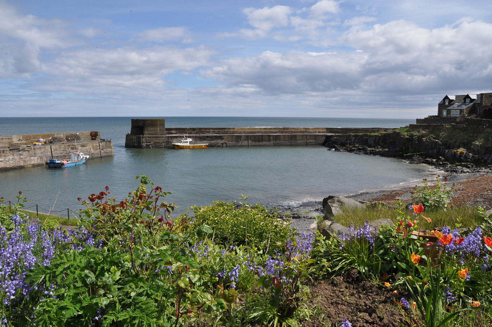 Craster Harbour II