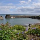 Craster Harbour II