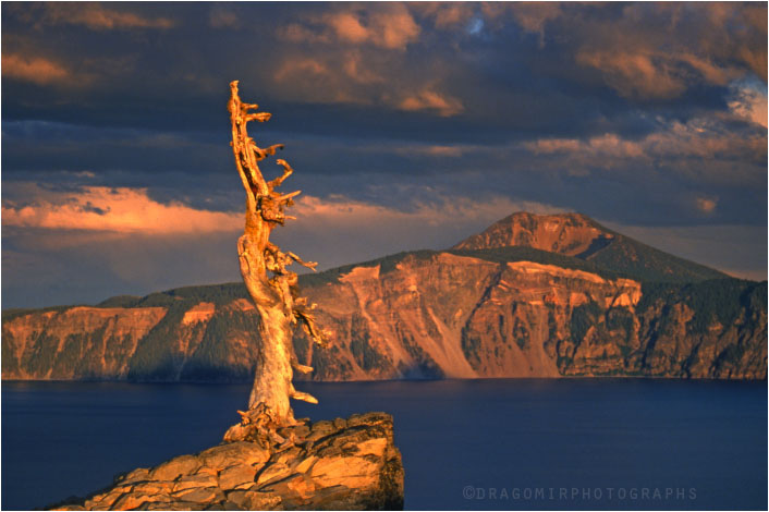 Crater Lake Sage 