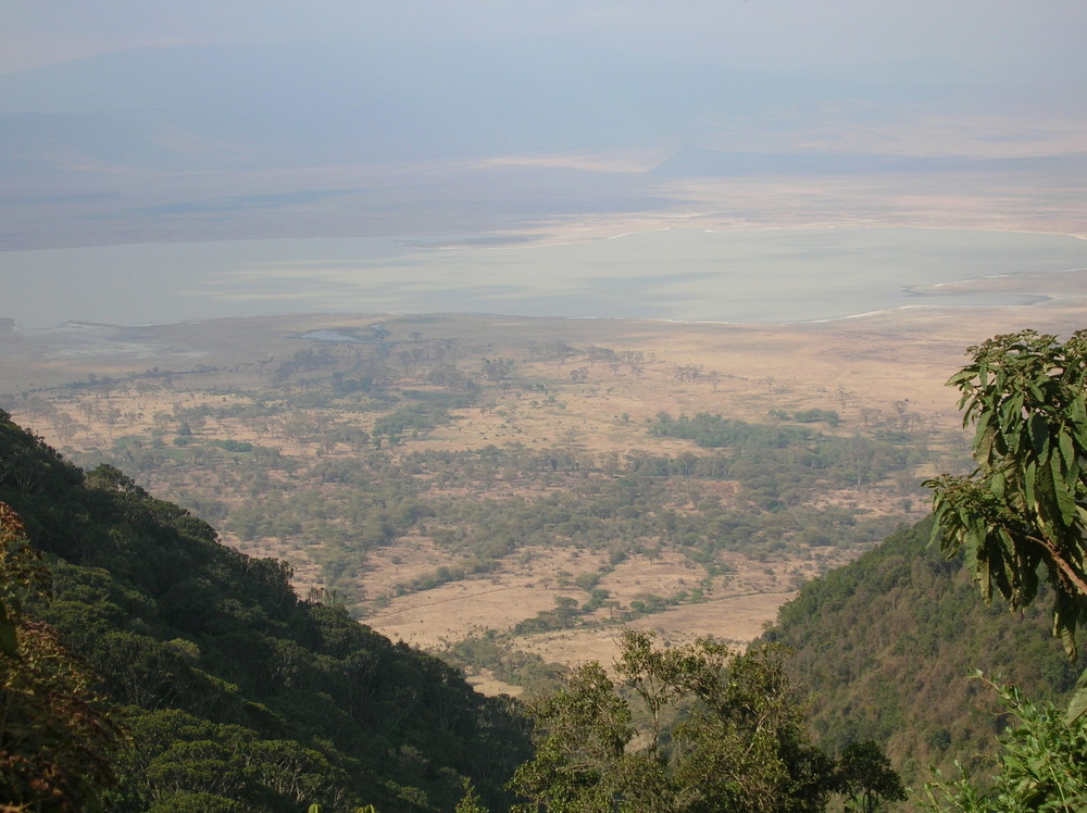 Cratère de N'gorongoro