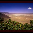 ...Cratère du N'Gorongoro...