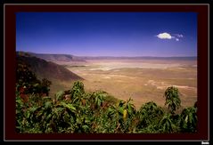 ...Cratère du N'Gorongoro...