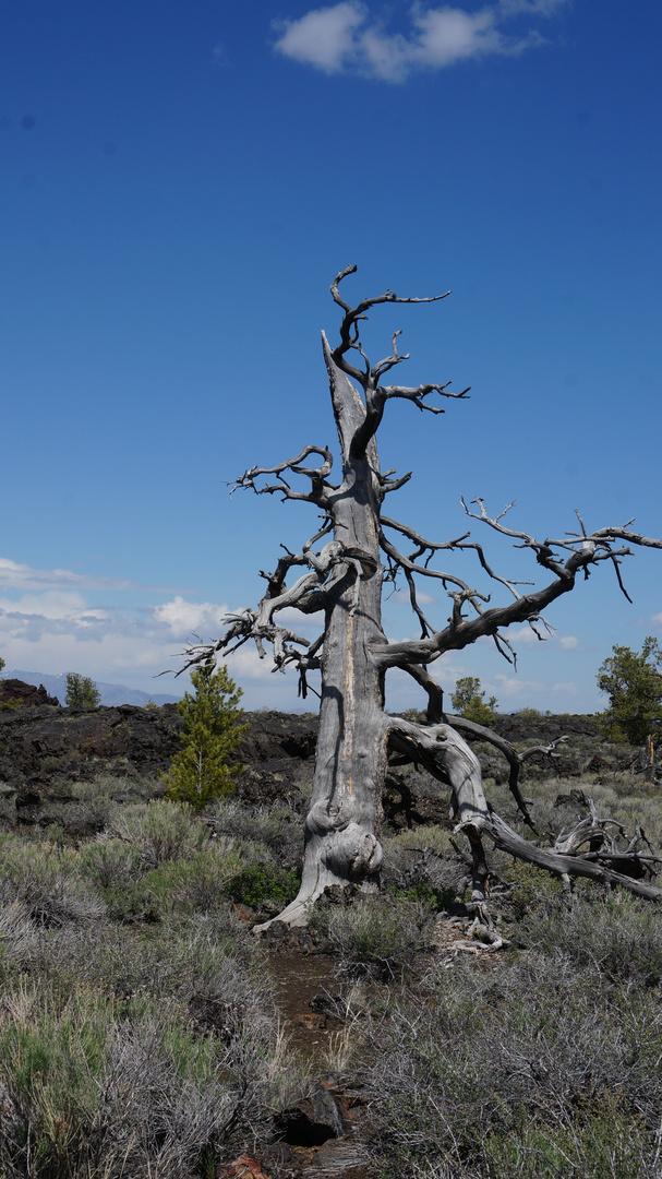 Craters of the moon