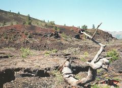 Craters of the Moon