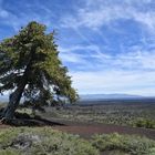 craters of the moon