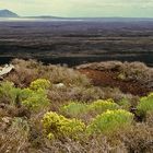 Craters of the Moon