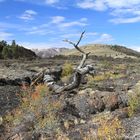 Craters of the Moon