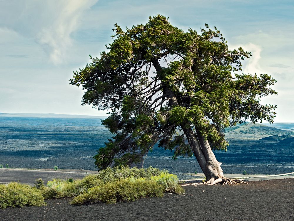 Craters of the moon