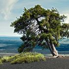 Craters of the moon