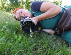Cratzenbach: Raupe vom Schwalbenschwanz 17