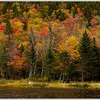 Crawford Notch