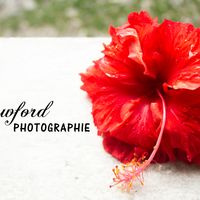 Crawford PhotoGraphie